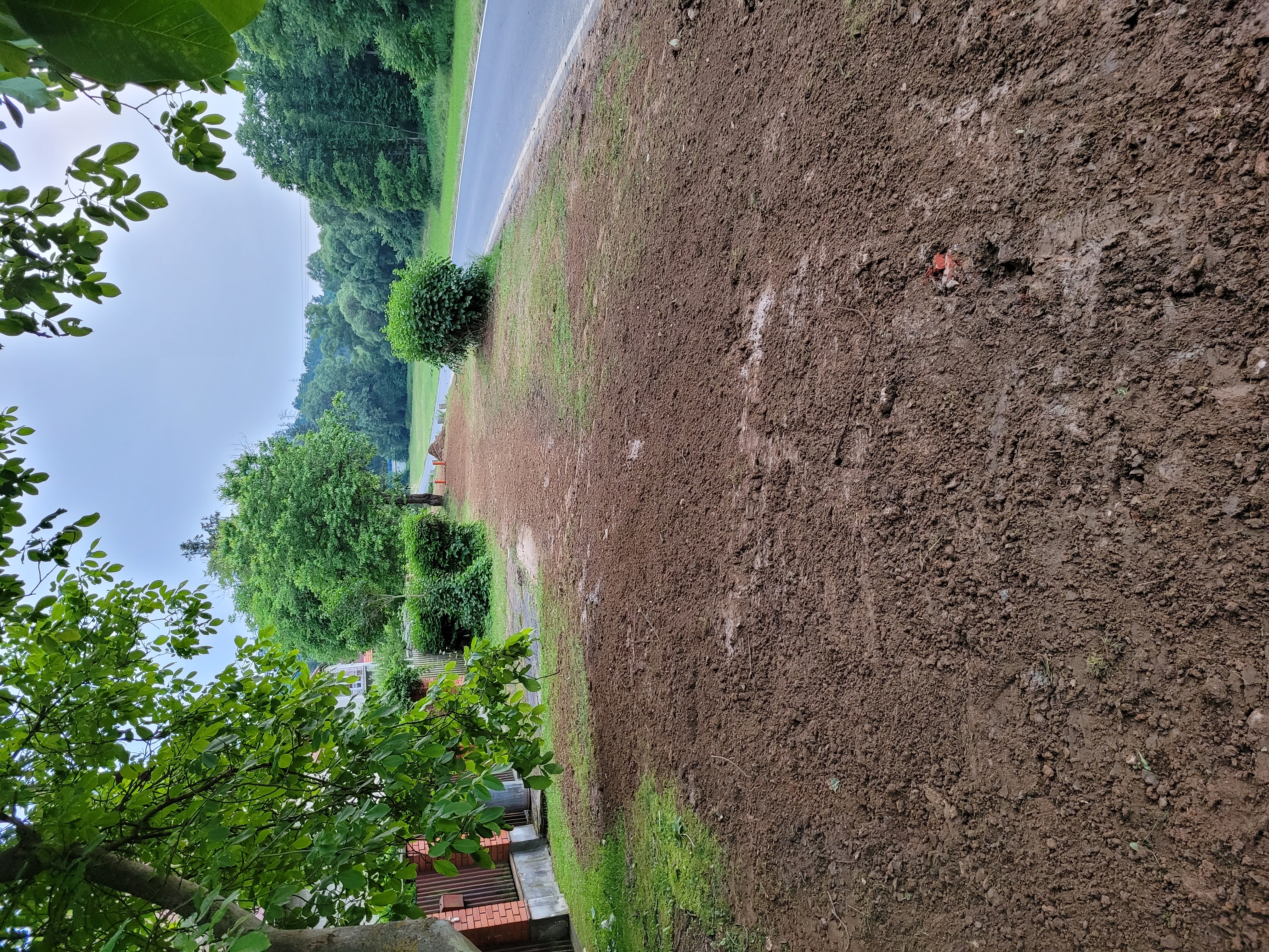 Foto terénní úpravy