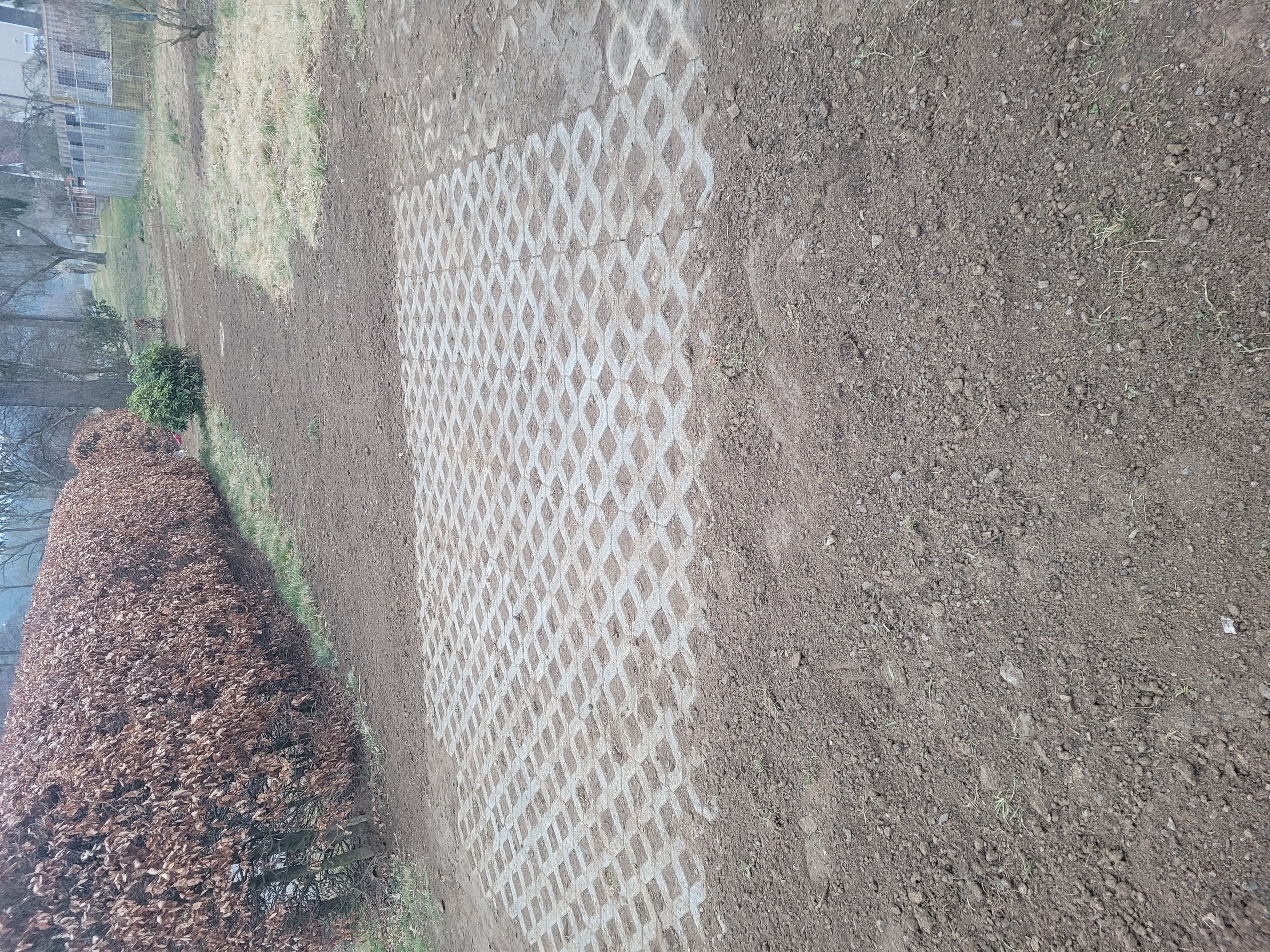 Foto terénní úpravy