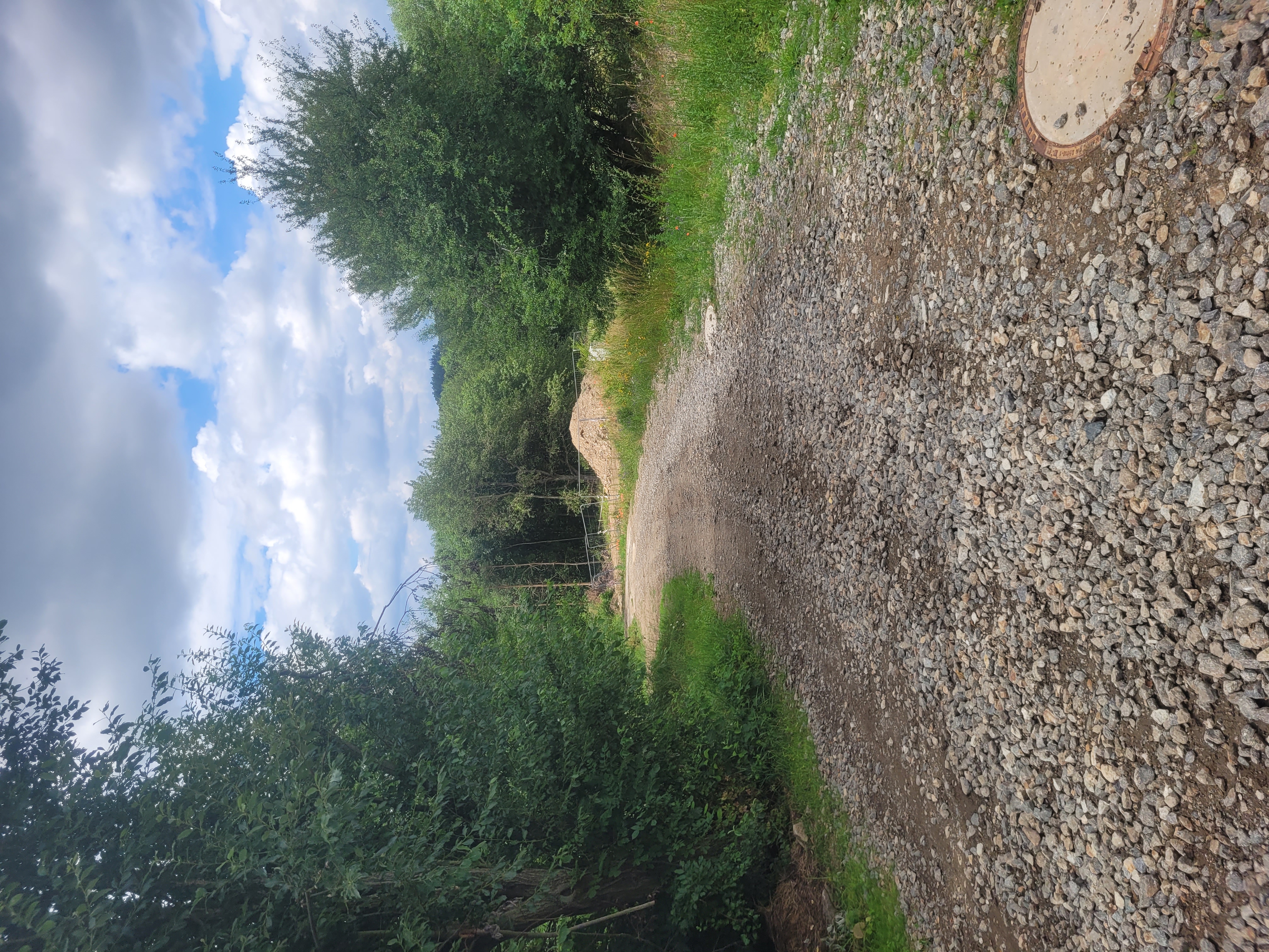 Foto terénní úpravy